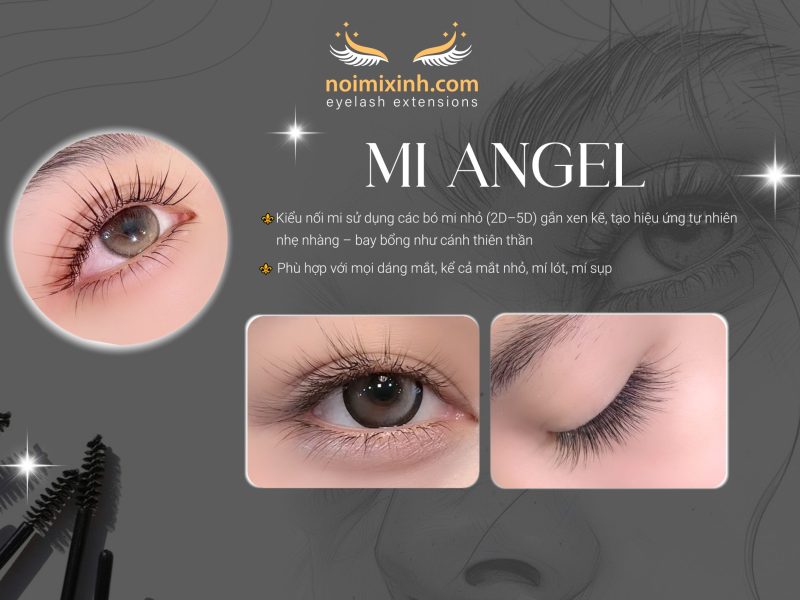 mi angell